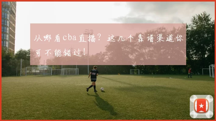 从哪看cba直播？这几个靠谱渠道你可不能错过！