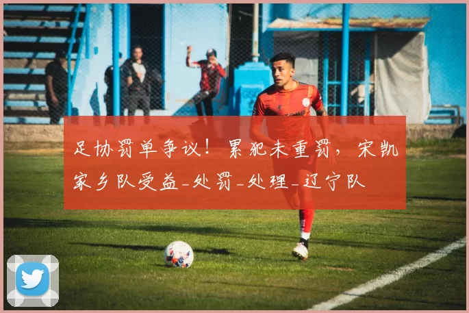 足协罚单争议!累犯未重罚,宋凯家乡队受益_处罚_处理_辽宁队
