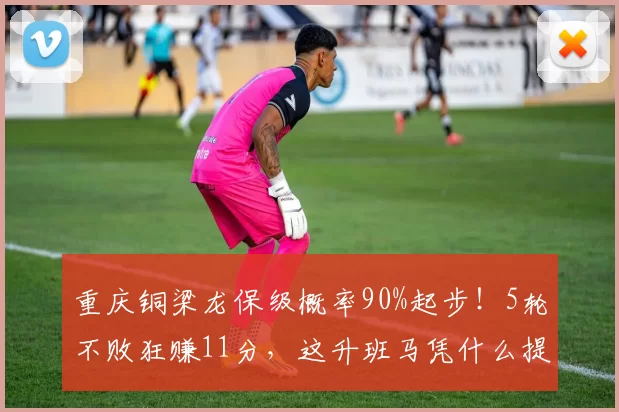 重庆铜梁龙保级概率90%起步！5轮不败狂赚11分，这升班马凭什么提前宣告上岸？_中超_队伍_开局