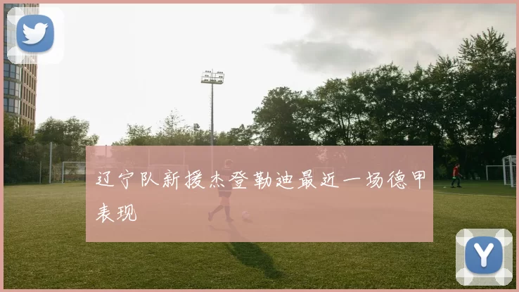 辽宁队新援杰登勒迪最近一场德甲表现