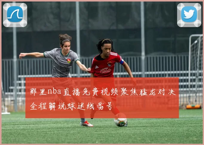 那里nba直播免费视频聚焦猛龙对决全程解说球迷线番号