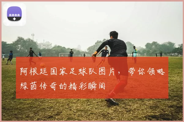 阿根廷国家足球队图片,带你领略绿茵传奇的精彩瞬间